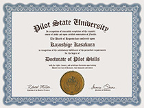 Pilot State University